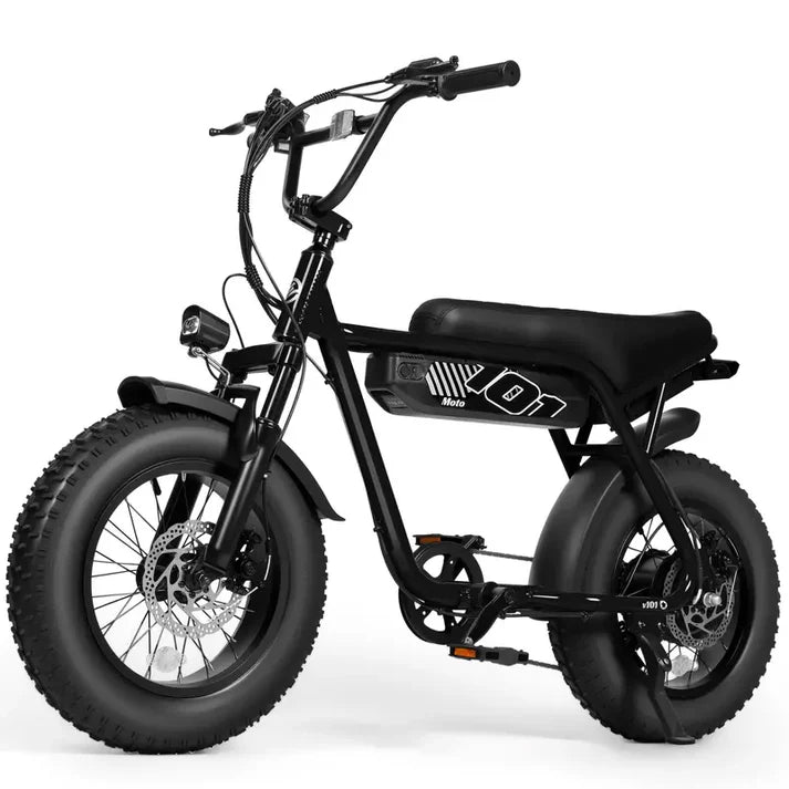 V101 EBIKE