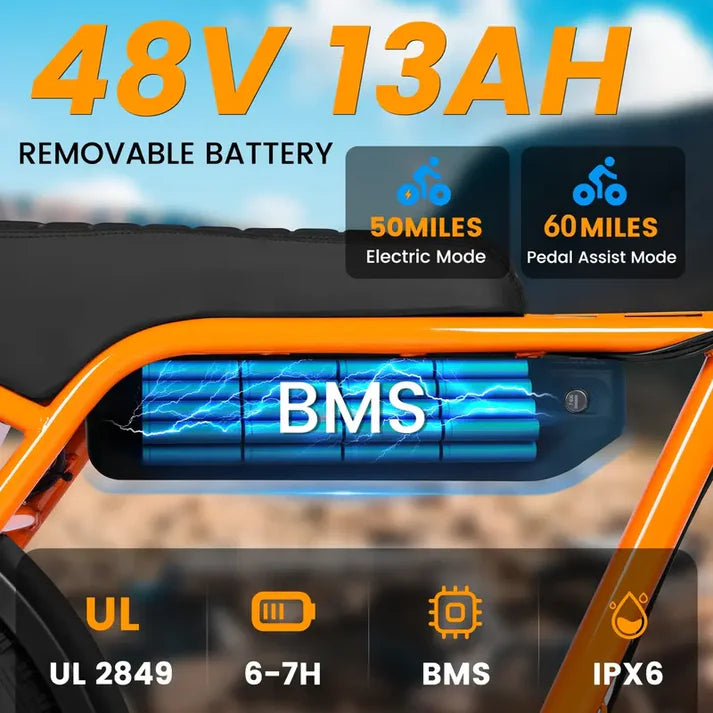V101 EBIKE