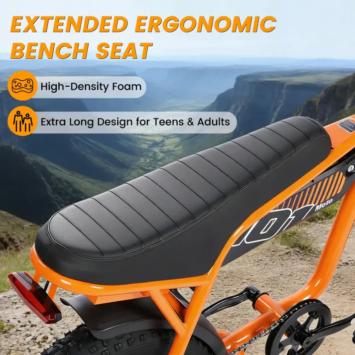 V101 EBIKE