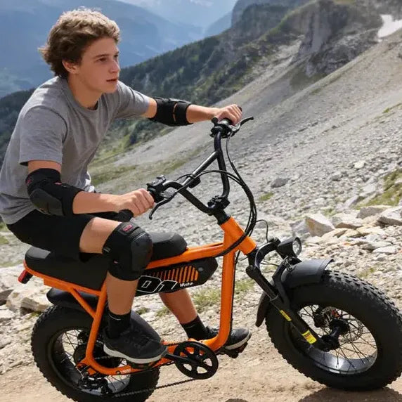 V101 EBIKE