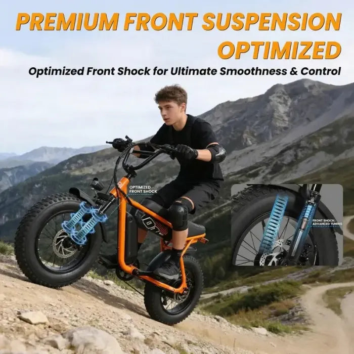 V101 EBIKE