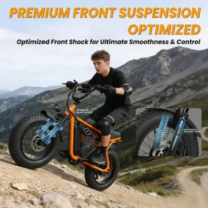 V101 EBIKE