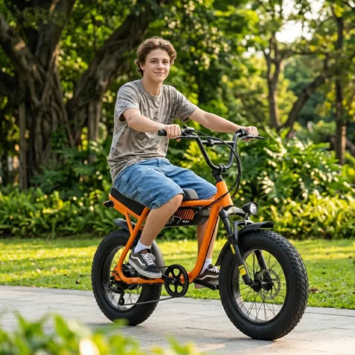 V101 EBIKE