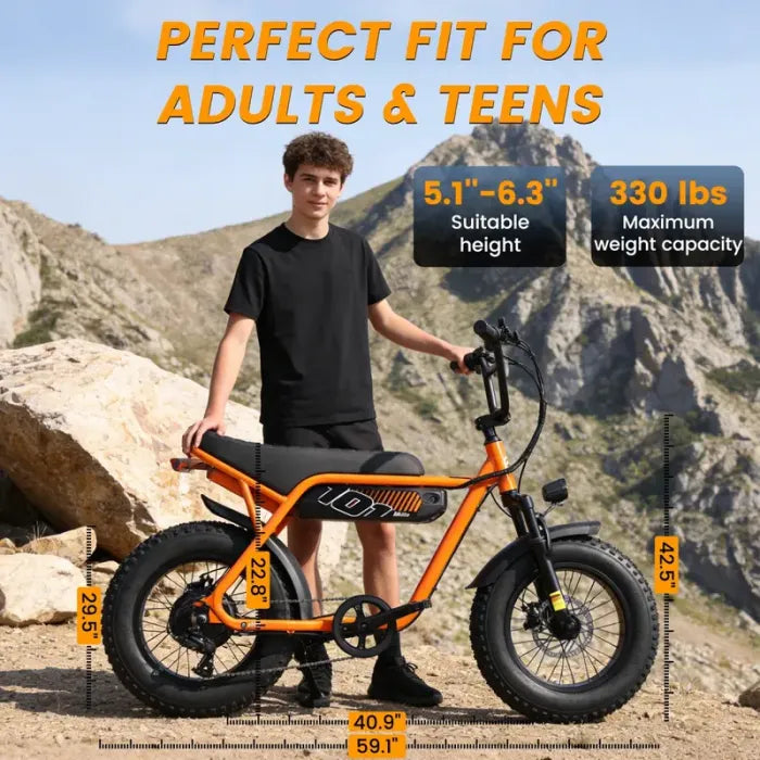 V101 EBIKE