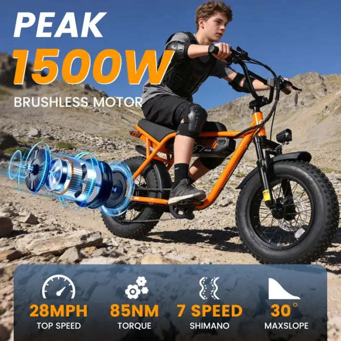 V101 EBIKE